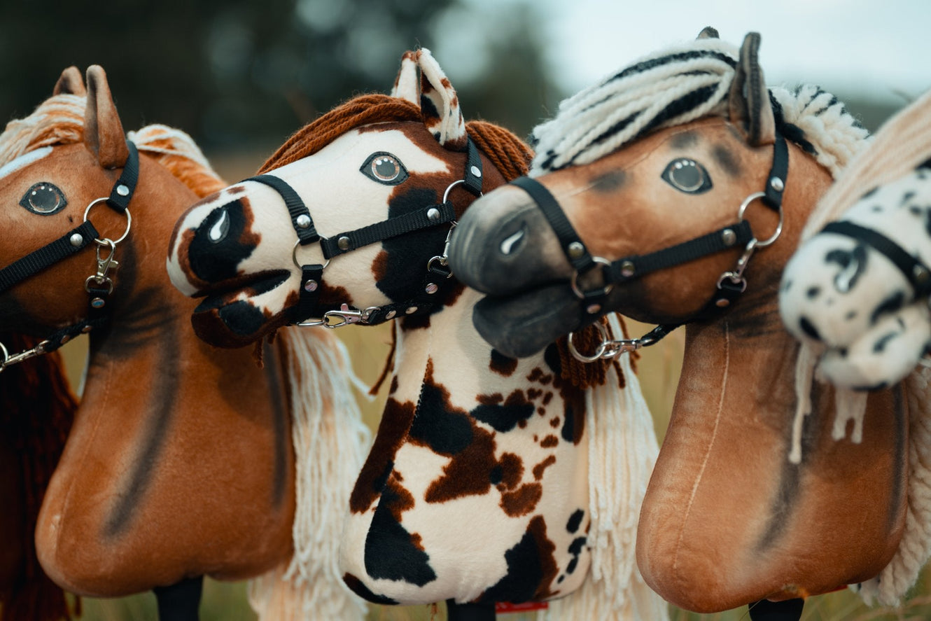 US Hobby Horse Championships 2026: il più grande evento Hobby Horse d'America è alle porte