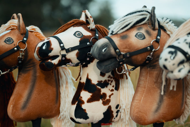 Hobby Horses con Cavezze nere ai Campionati statunitensi di Hobby Horse