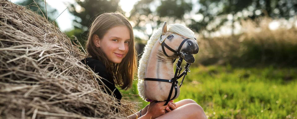 Set di Attrezzature per Hobby Horse