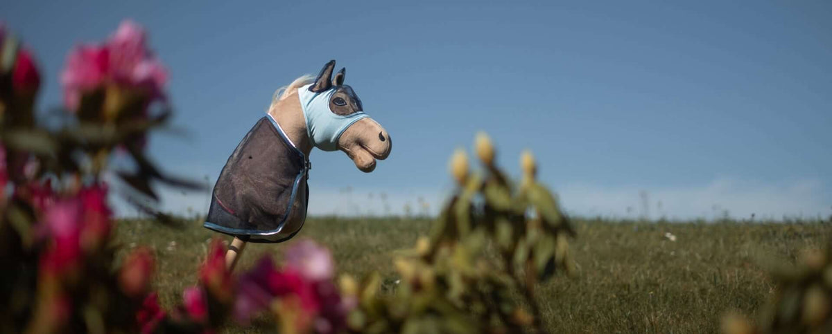 Maschere per Hobby Horse