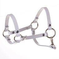 Cavezza - similpelle grigio chiaro (taglia S) di Hobby Horse LarDen con anelli e rivetti in metallo per un look deciso, perfetta come accessorio per Hobby Horse. Mostrata su semplice sfondo bianco.