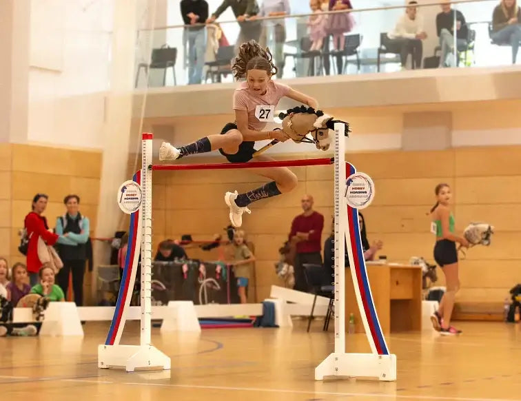 Discipline nell'Hobby Horsing