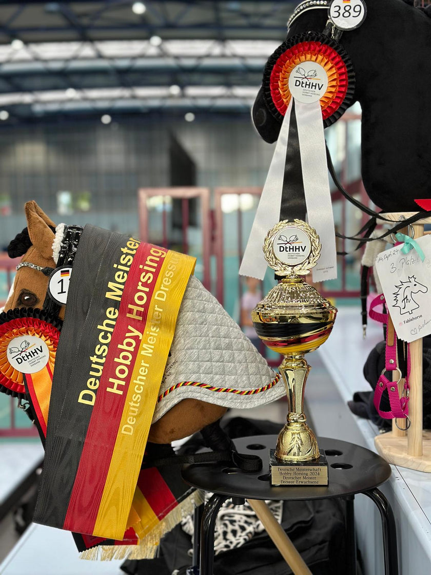 My Journey to the German Hobby Horsing Championship