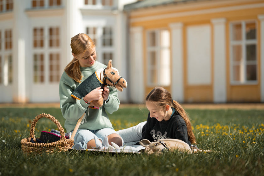 Come prendersi cura di un Hobby Horse