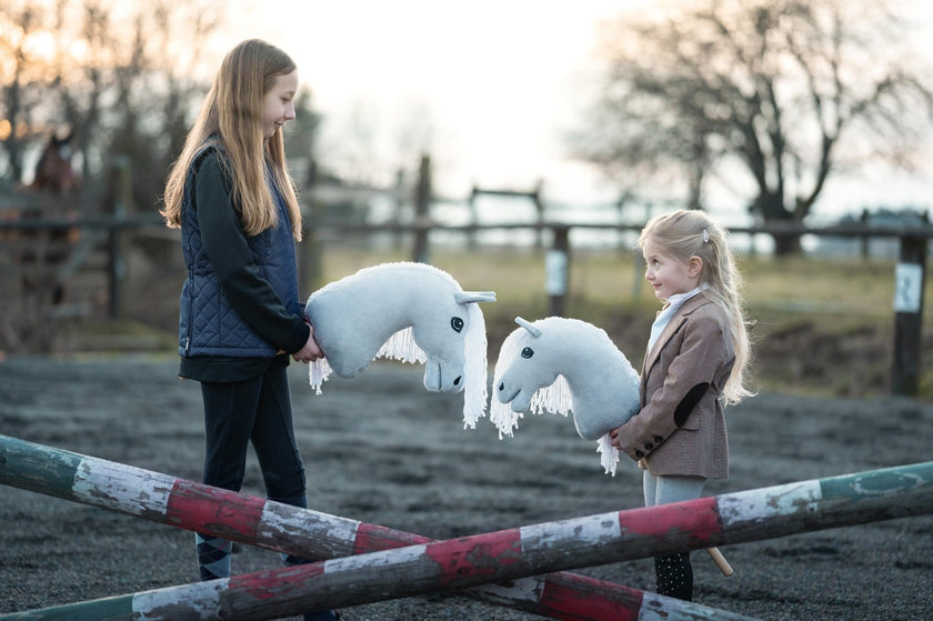 How to Choose the Right Size of a Hobby Horse?