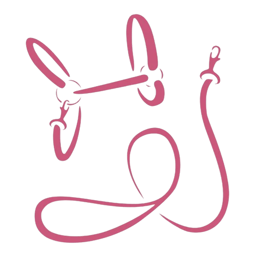 Semplice disegno lineare rosa di una cavezza da cavallo e una lunghina, su sfondo chiaro. La cavezza e la corda sono disposte morbide per mostrarne chiaramente le forme.