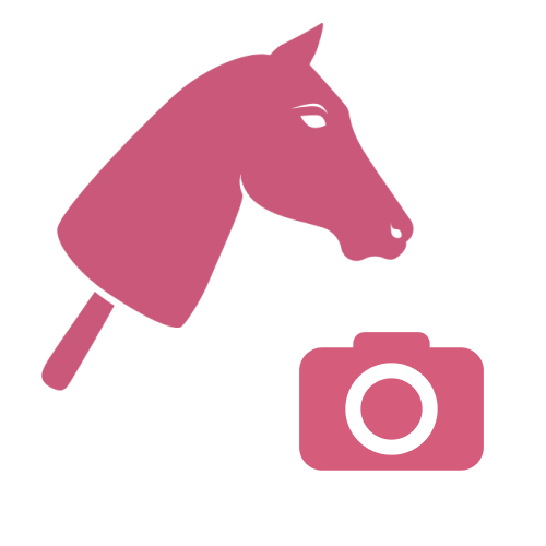 A pink illustration of a hobby horse head on a stick above a pink camera icon, both on a light gray background.
