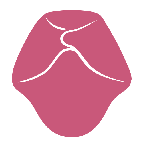 Illustrazione stilizzata di una lingua umana con tre linee bianche in rilievo che rappresentano il solco mediano e i solchi laterali, su sfondo rosa.