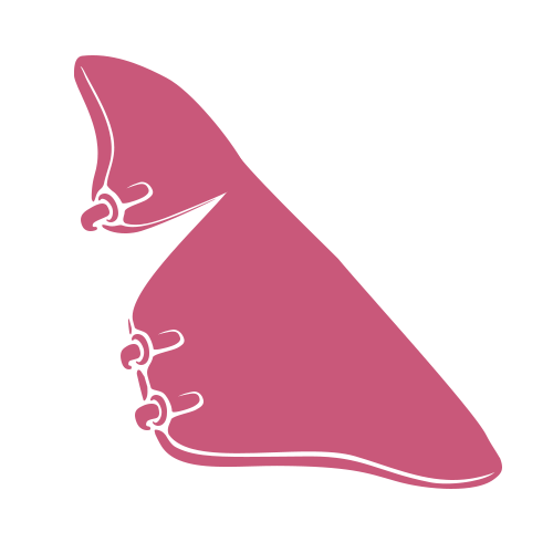Illustrazione minimalista di una mano rosa che forma la lettera B della lingua dei segni americana su sfondo grigio chiaro.