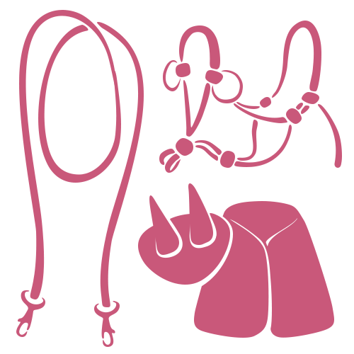 Hobby Horse Equipment Sets