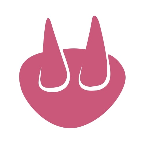 Semplice grafica rosa di una forma ovale con due punte simili a coni che sporgono verso l'alto, simile a corna astratte o a un naso di animale, su sfondo bianco.