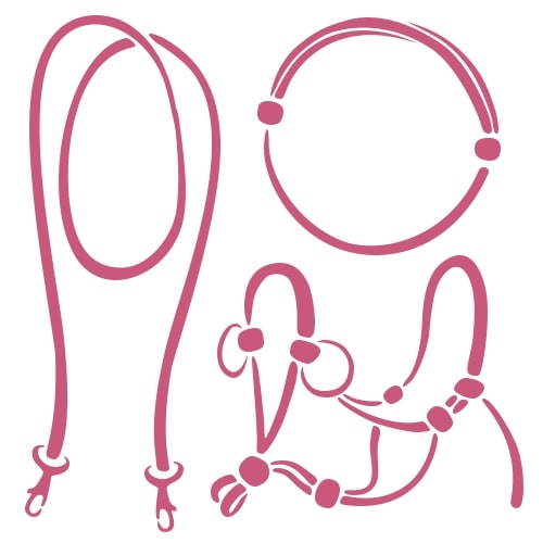 Semplici disegni lineari rosa di una lunghina, una corda da collo, una briglia side pull e una cavezza in corda, ciascuno mostrato separatamente su sfondo bianco.