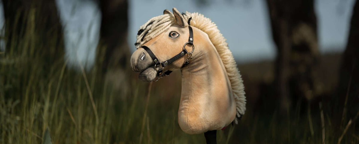 Cavezze Hobby Horse