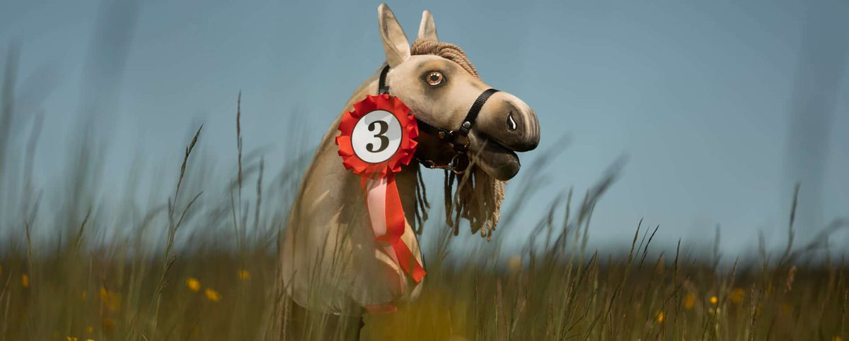 Nastri per Gare di Hobby Horse