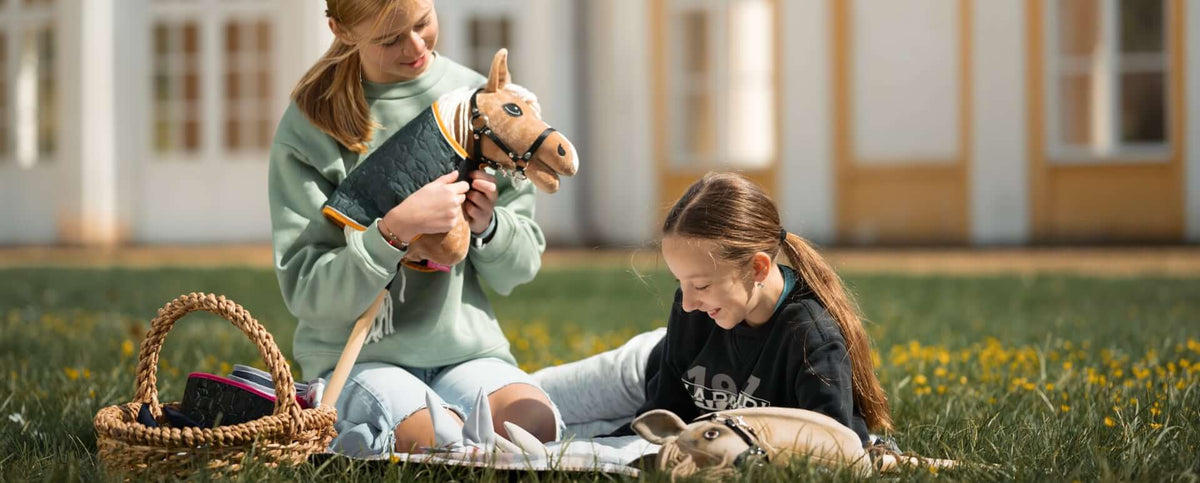 Hobby Horse Accessories