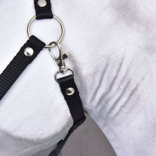 Hobby Horse Elektra con Cavezza nero