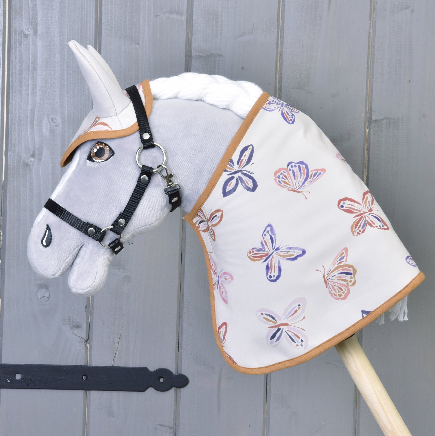 Blanket Butterfly (softshell)