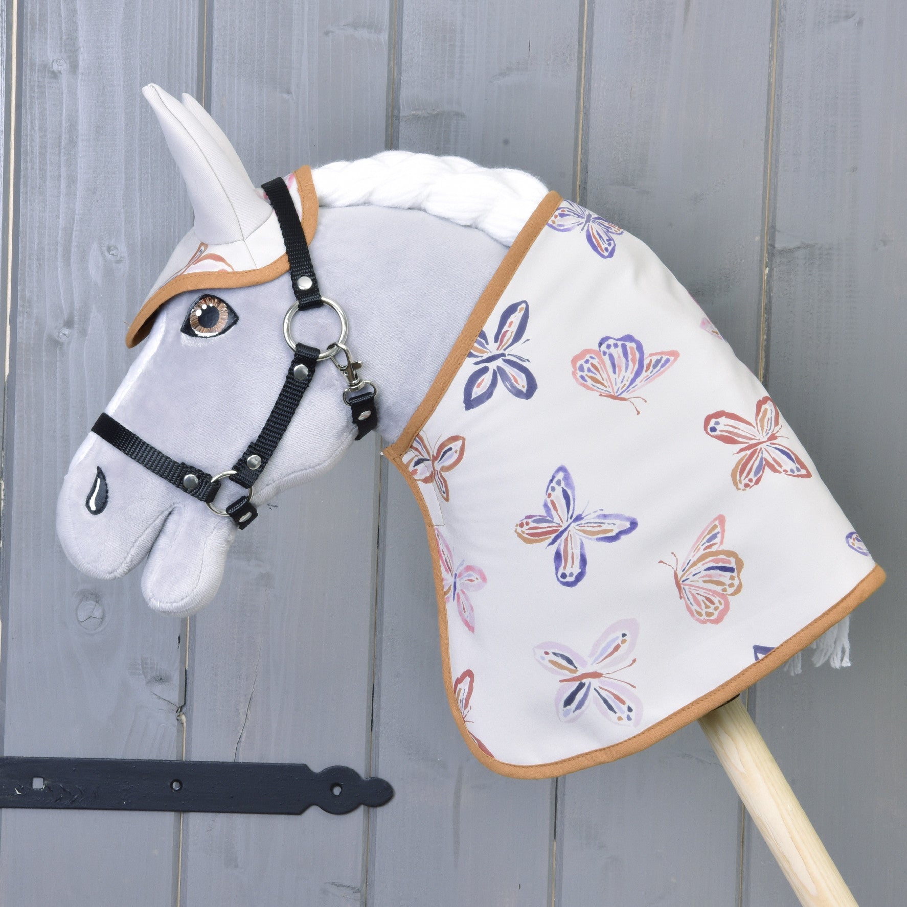 Blanket Butterfly (softshell)