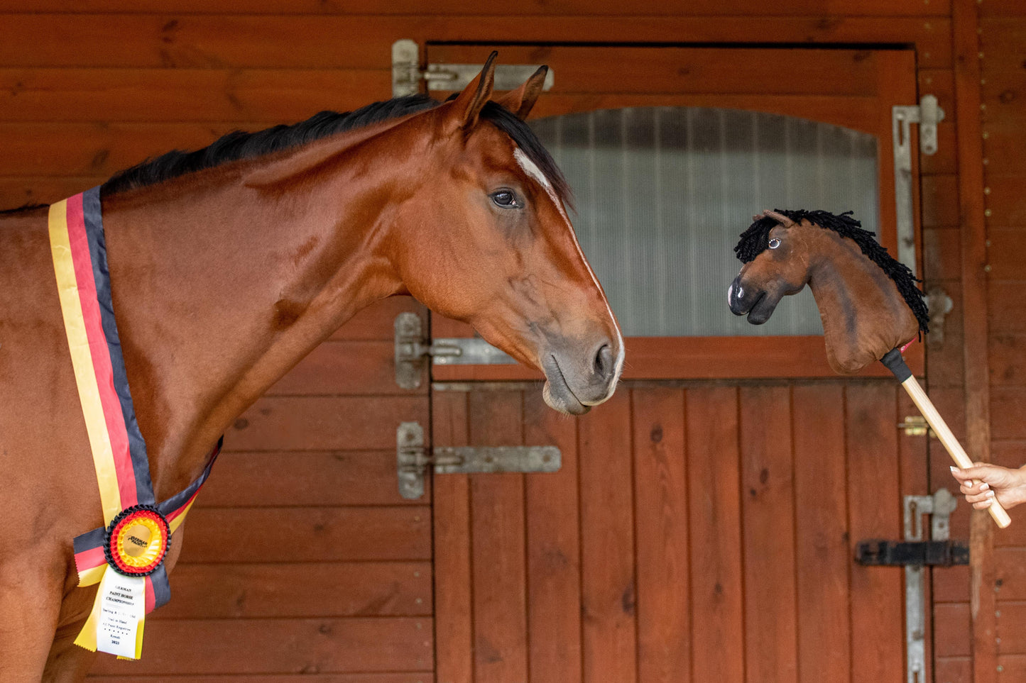 Hobby Horse based on your photo