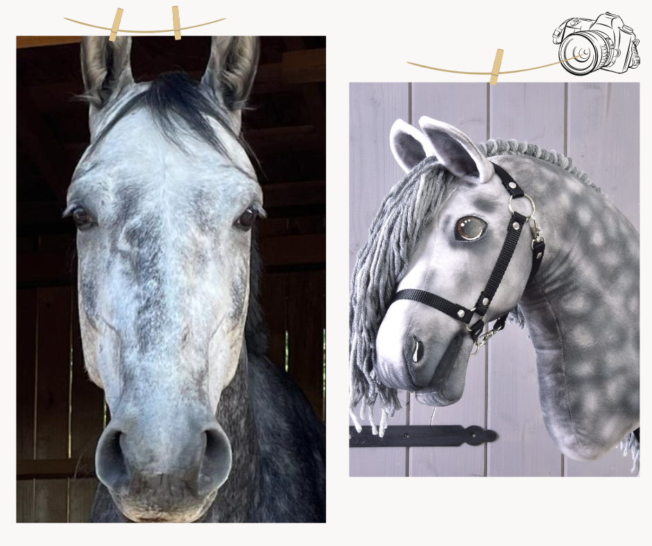 Hobby Horse based on your photo