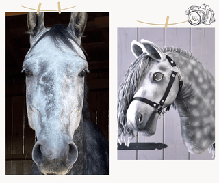 Hobby Horse basato sulla tua foto