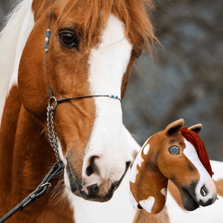 Hobby Horse basato sulla tua foto