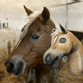 Hobby Horse basato sulla tua foto