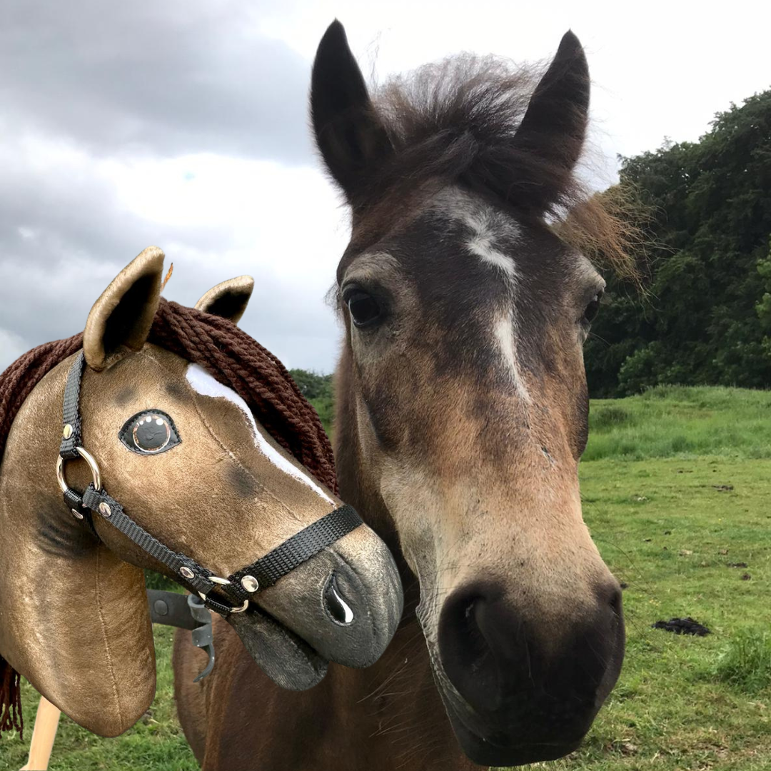 Hobby Horse based on your photo