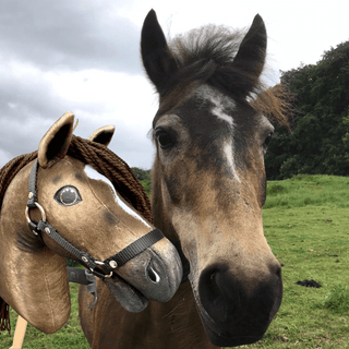 Hobby Horse basato sulla tua foto
