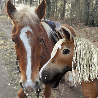 Hobby Horse basato sulla tua foto