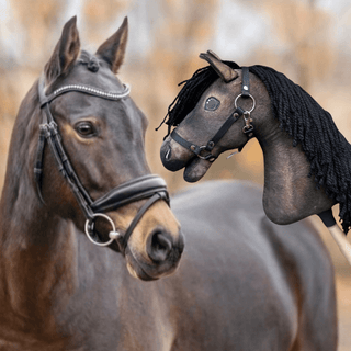 Hobby Horse basato sulla tua foto
