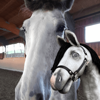 Hobby Horse basato sulla tua foto