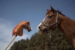 Hobby Horse basato sulla tua foto