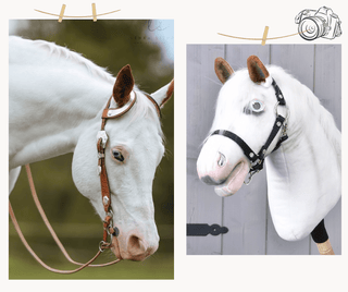 Hobby Horse basato sulla tua foto