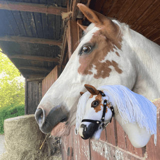 Hobby Horse basato sulla tua foto