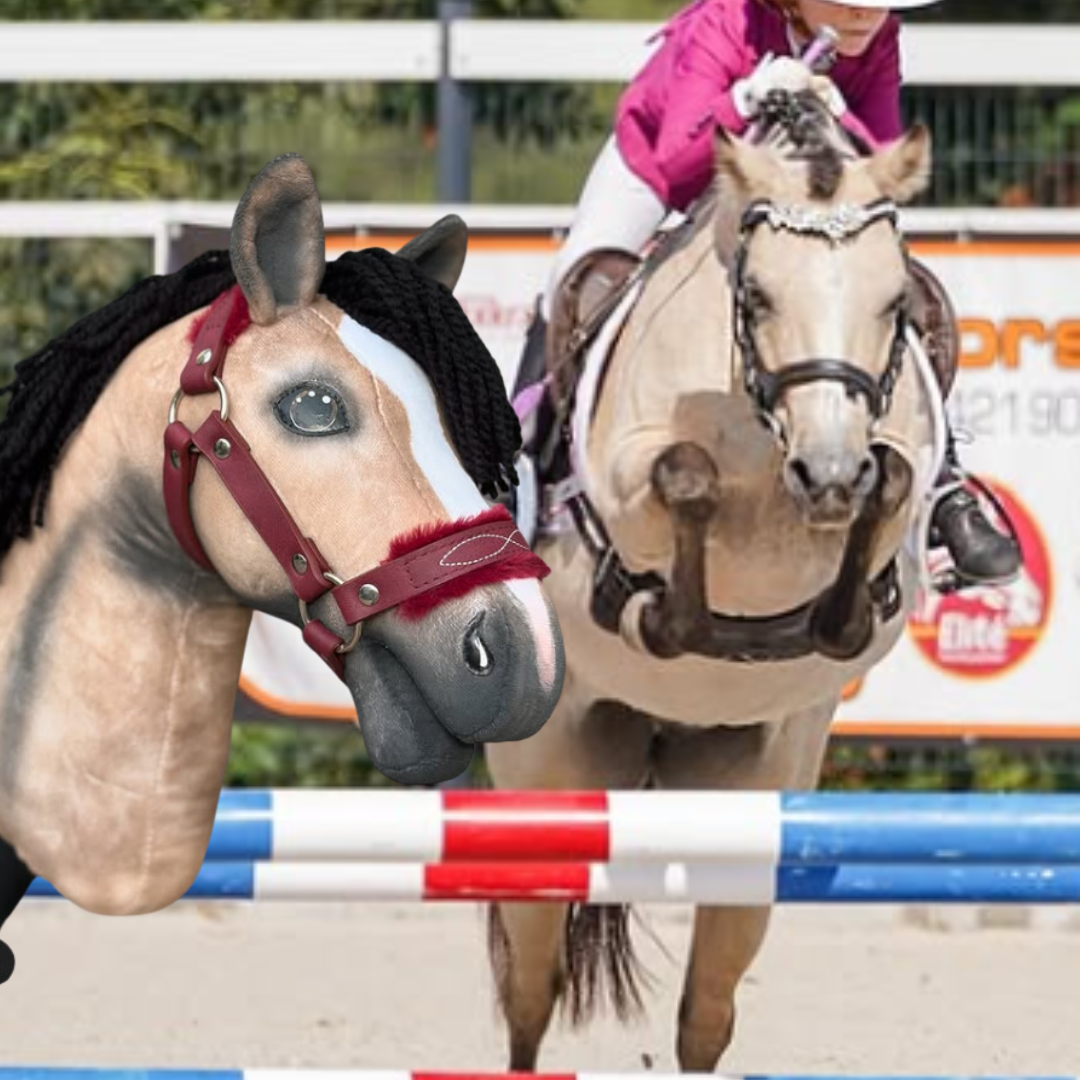 Hobby Horse based on your photo