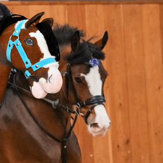Hobby Horse basato sulla tua foto