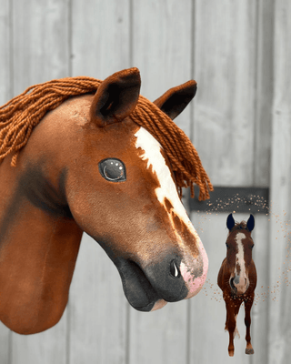 Hobby Horse basato sulla tua foto
