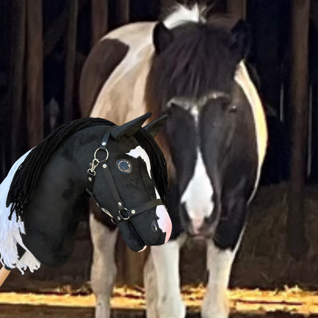 Hobby Horse based on your photo