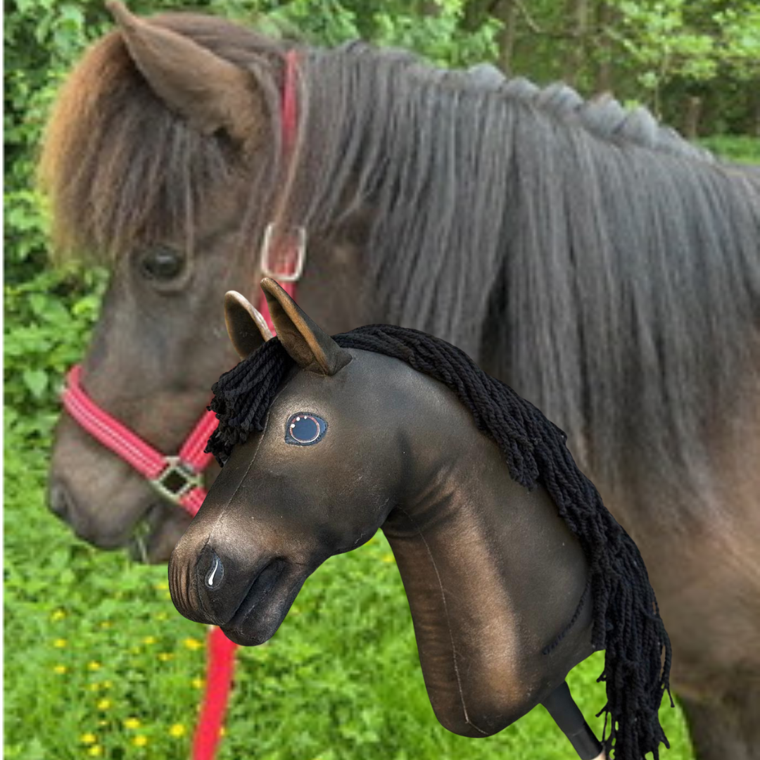 Hobby Horse based on your photo