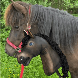 Hobby Horse basato sulla tua foto