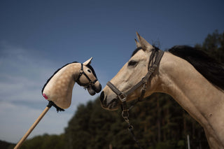 Hobby Horse basato sulla tua foto