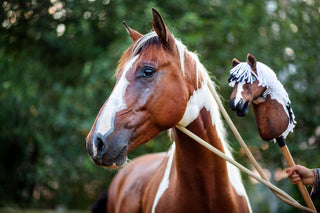 Hobby Horse basato sulla tua foto