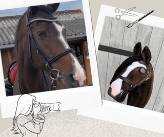 Hobby Horse basato sulla tua foto