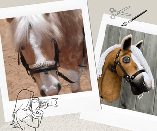 Hobby Horse basato sulla tua foto