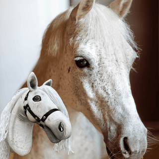 Hobby Horse basato sulla tua foto