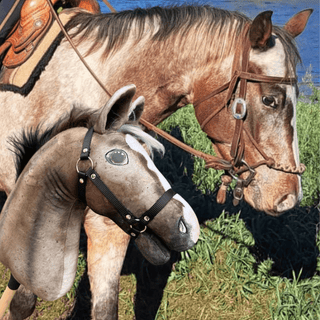 Hobby Horse basato sulla tua foto