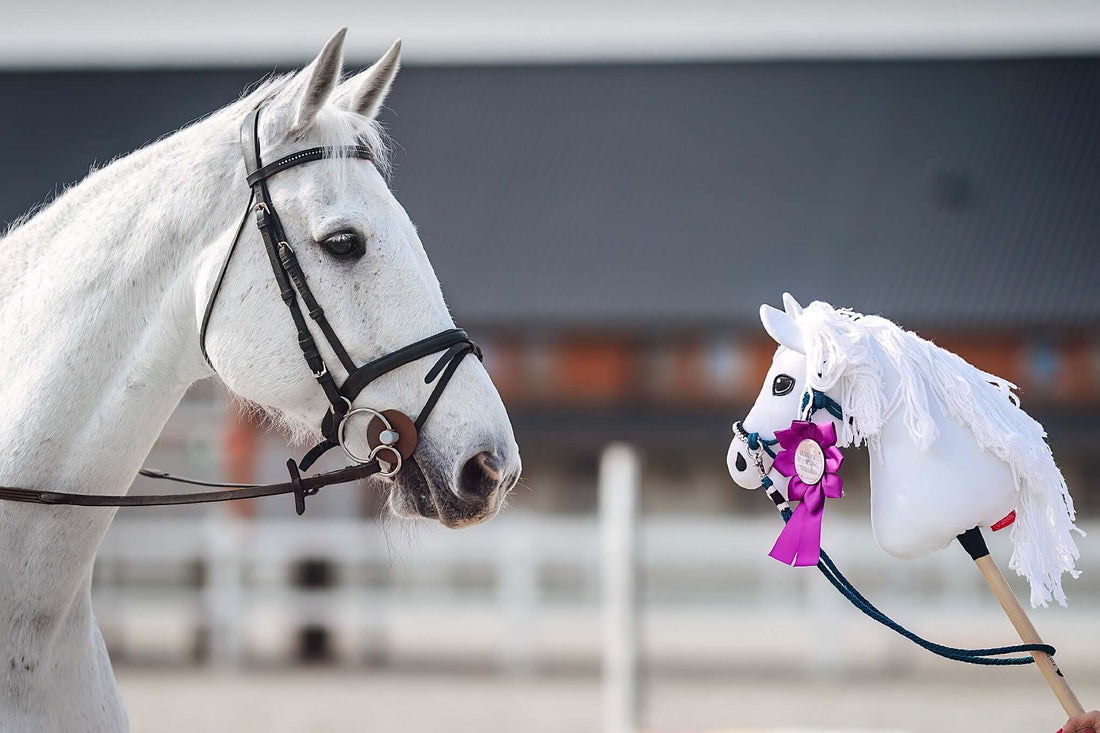 Hobby Horse basato sulla tua foto