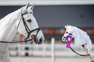 Hobby Horse basato sulla tua foto