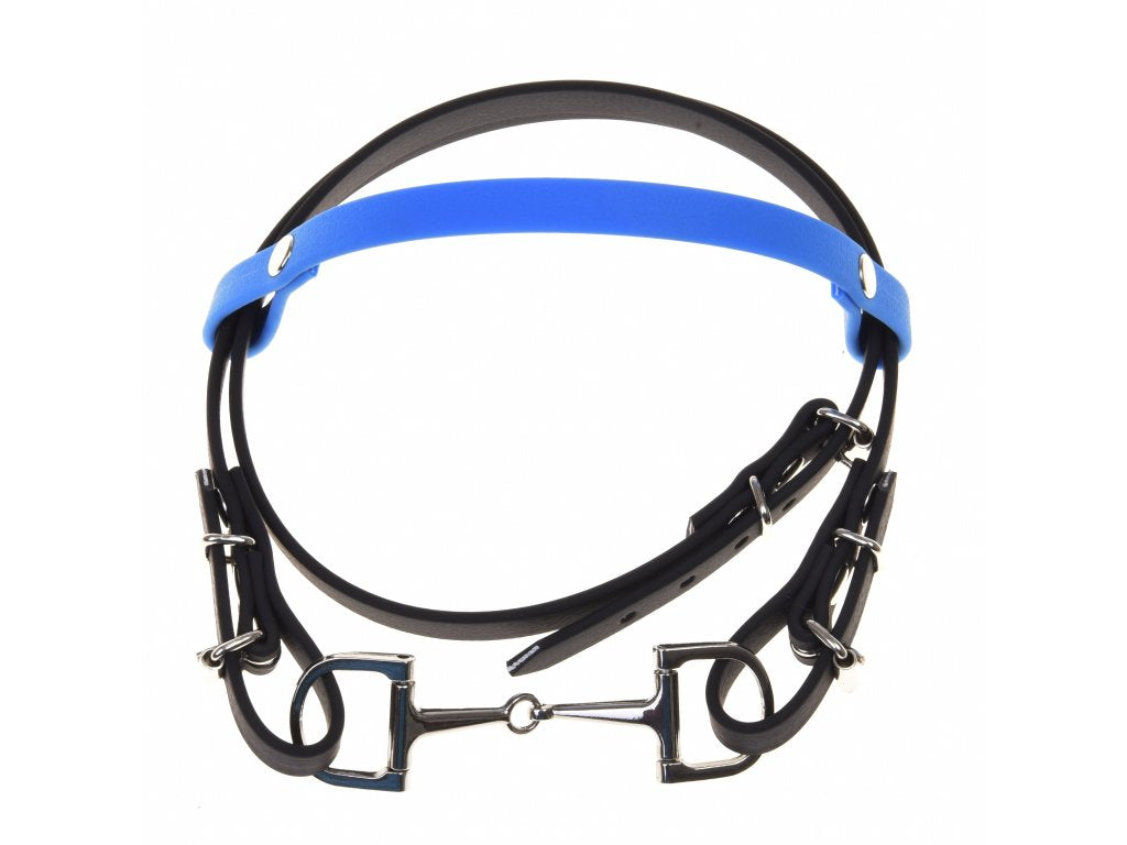 Bridle with Blue Headband (size S)